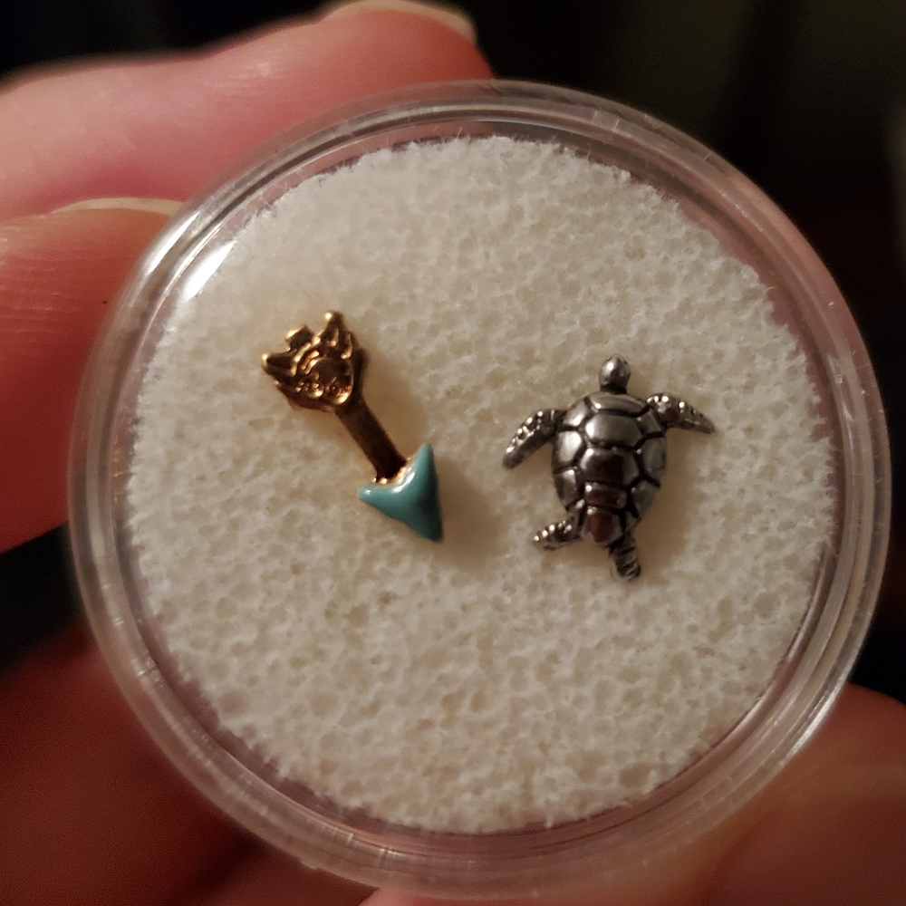 Origami Owl Charms Arrow & Turtle